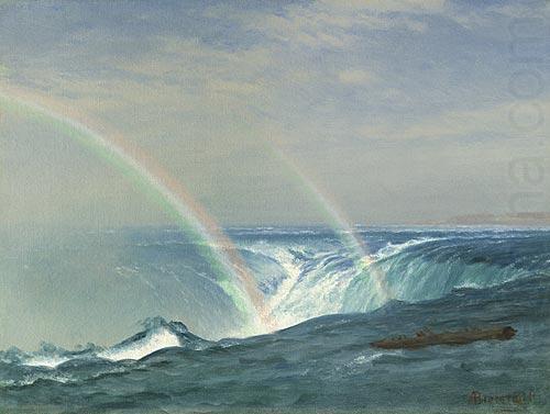 Albert Bierstadt Home of the Rainbow, Horseshoe Falls, Niagara china oil painting image